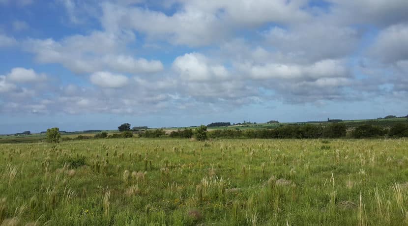 124adf_7a2e03b2148a464493e7744fc56a2776