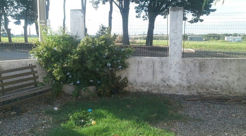 20170110_181241_resized