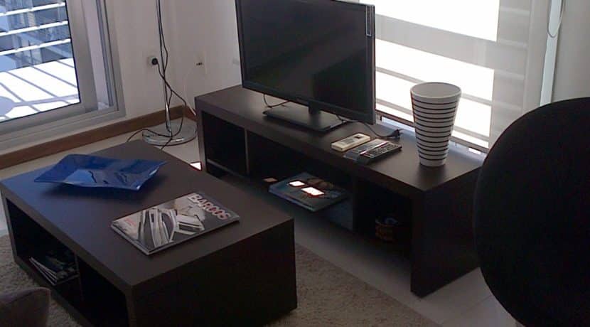 BLACK BERRY JUNIO 2014 237