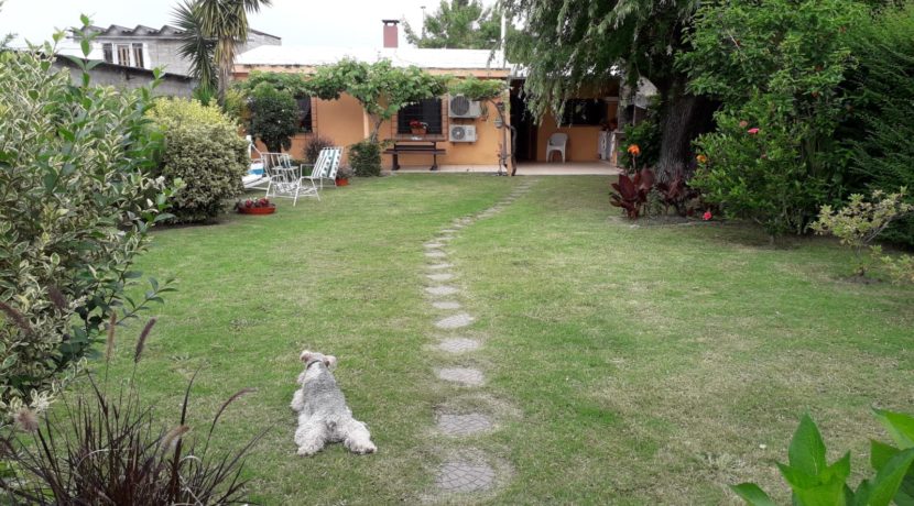 643377e3-291d-425c-a15b-2820783ee1ab