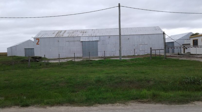 fcdf1f13-6d11-4073-9995-a5eedac910c6