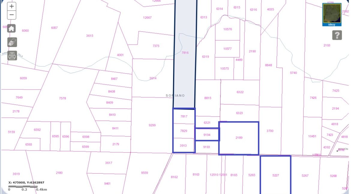 campos cardona mariota