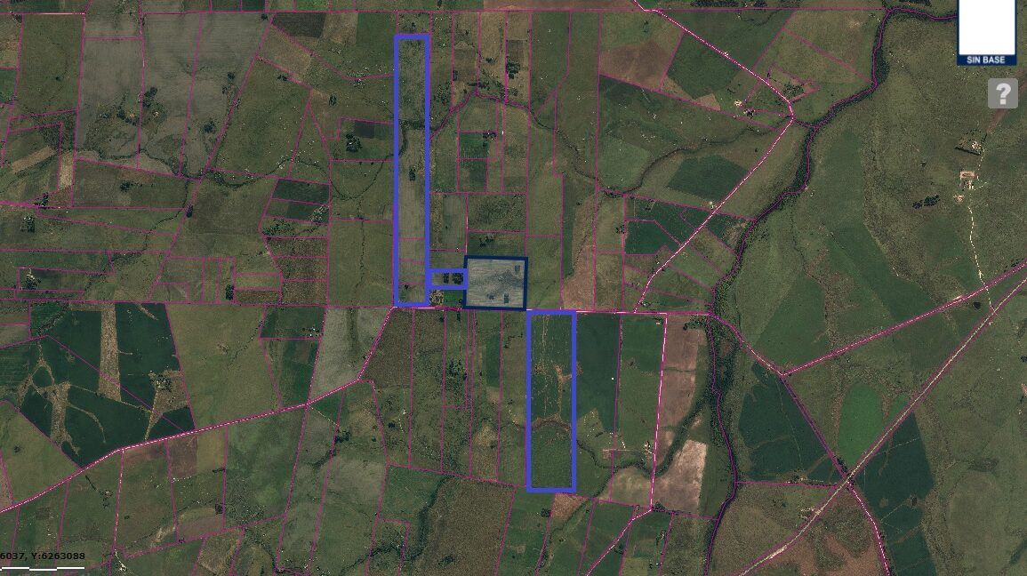 satelital campo cardona