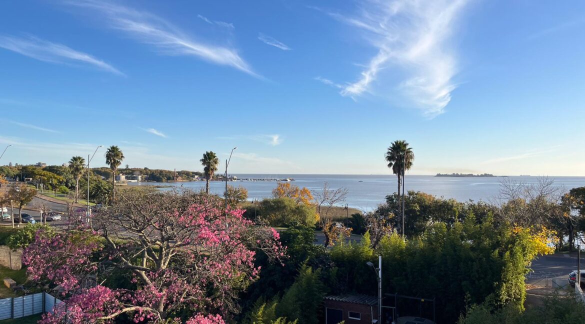 Imagen de WhatsApp 2025-05-20 a las 16.36.29_81a56d75