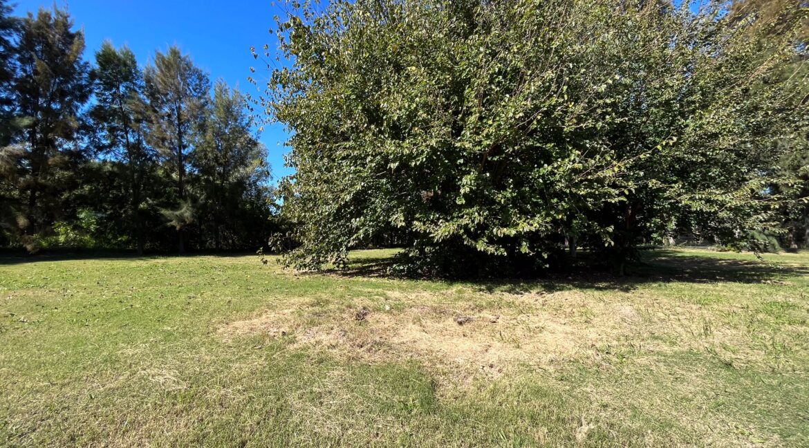 Imagen de WhatsApp 2025-05-27 a las 16.44.42_98e5dc91