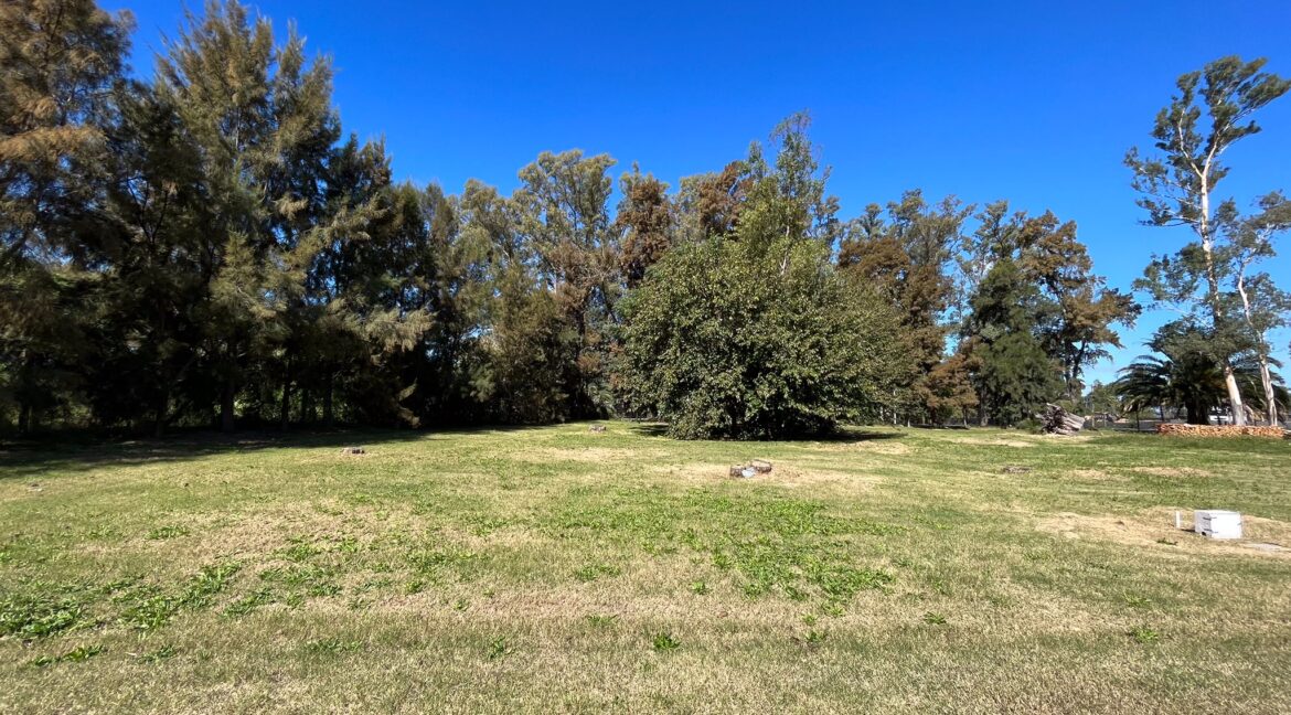 Imagen de WhatsApp 2025-05-27 a las 16.44.42_9e3701d3