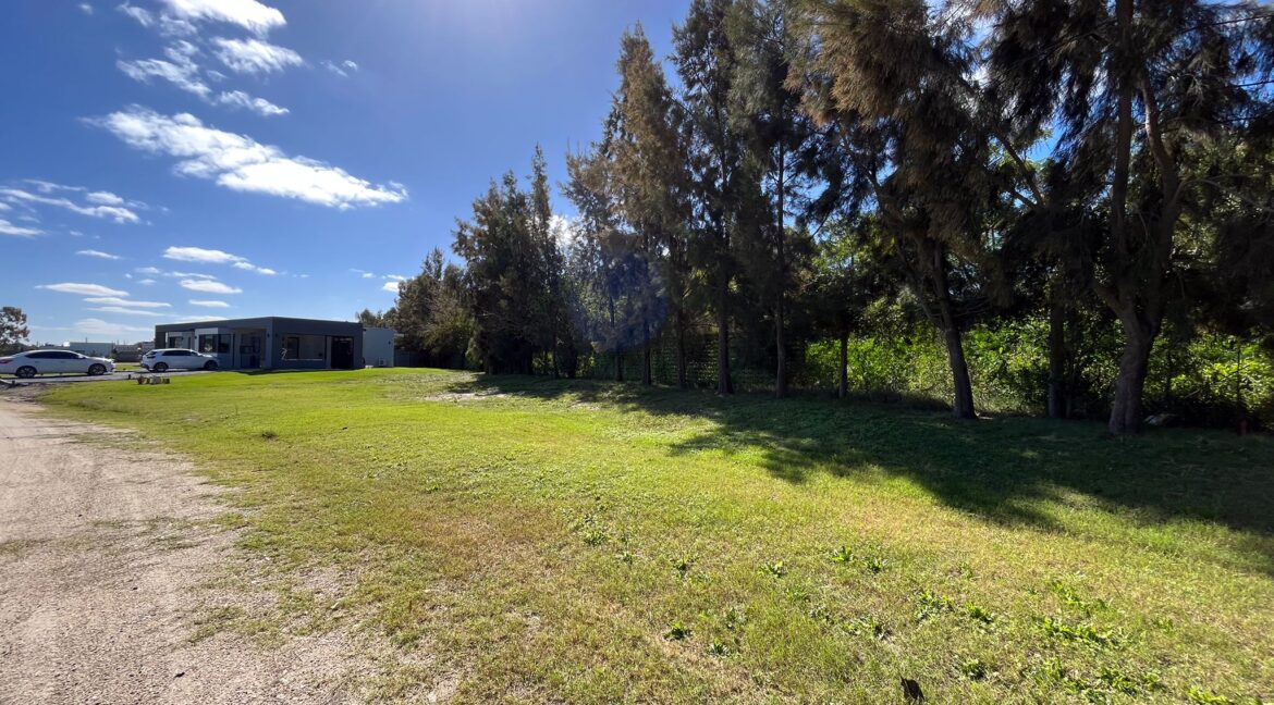 Imagen de WhatsApp 2025-05-27 a las 16.45.00_1af39f56